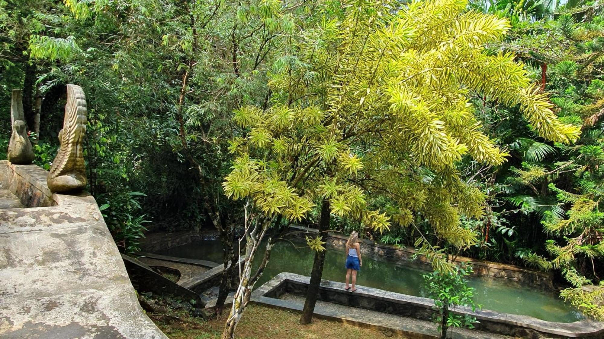 Singharaja Garden Agro Eco Lodge Pelawatta  外观 照片