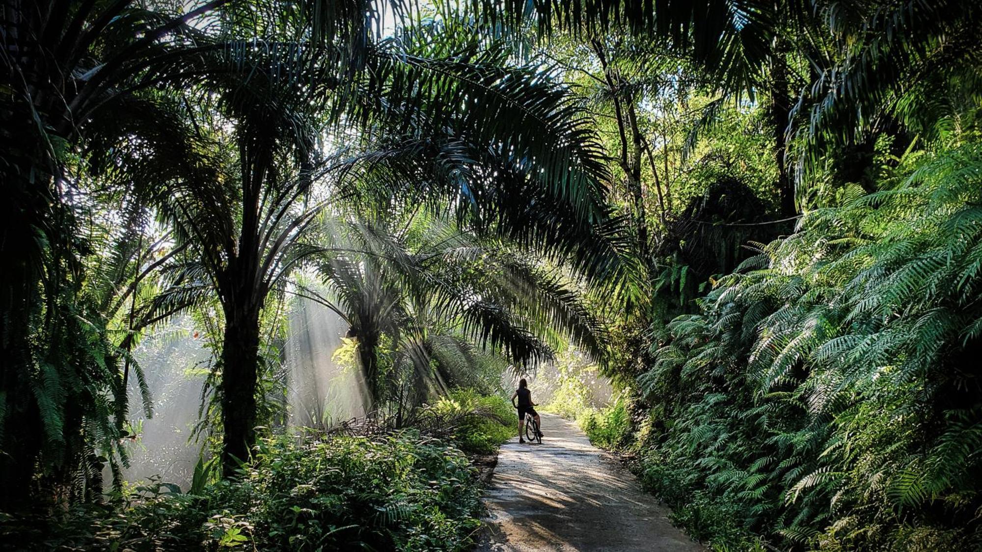 Singharaja Garden Agro Eco Lodge Pelawatta  外观 照片