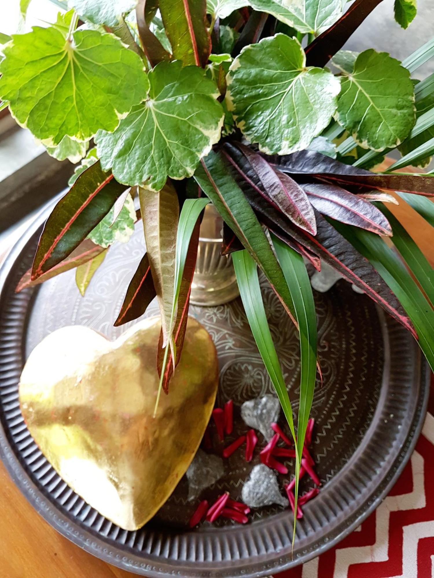 Singharaja Garden Agro Eco Lodge Pelawatta  外观 照片