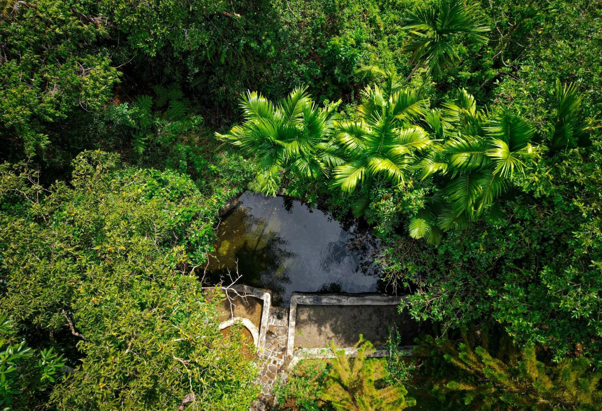 Singharaja Garden Agro Eco Lodge Pelawatta  外观 照片
