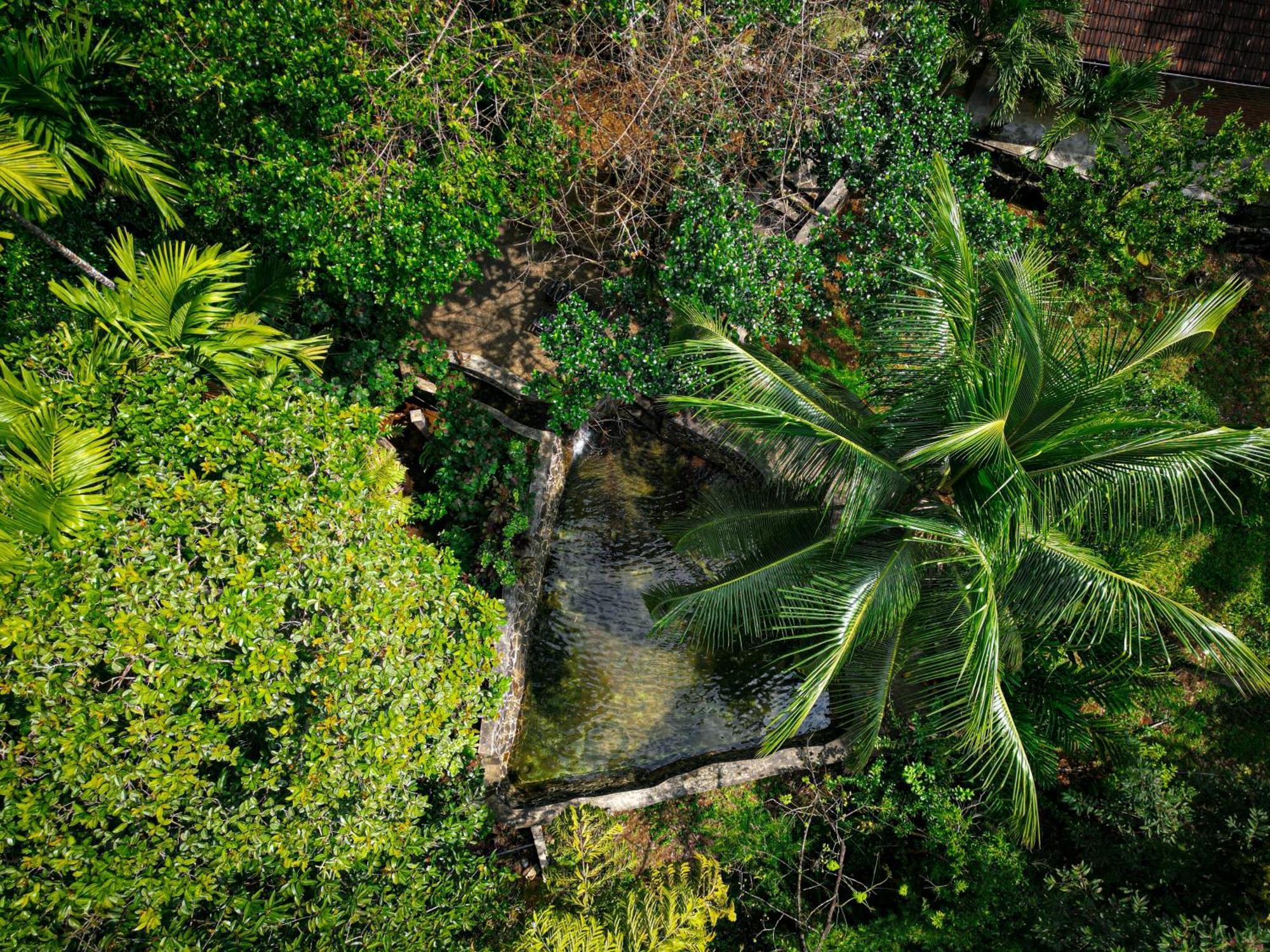 Singharaja Garden Agro Eco Lodge Pelawatta  外观 照片