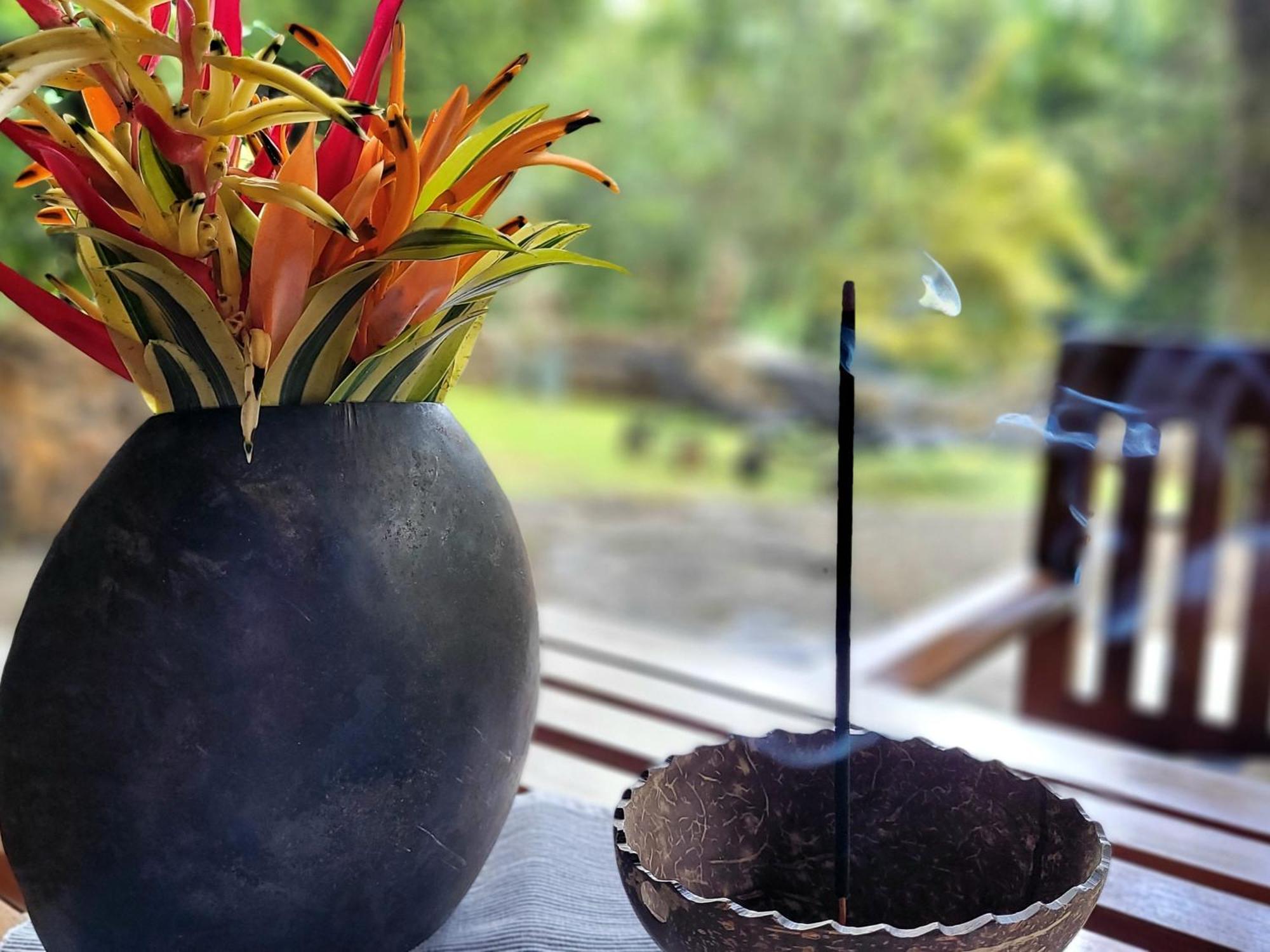 Singharaja Garden Agro Eco Lodge Pelawatta  客房 照片