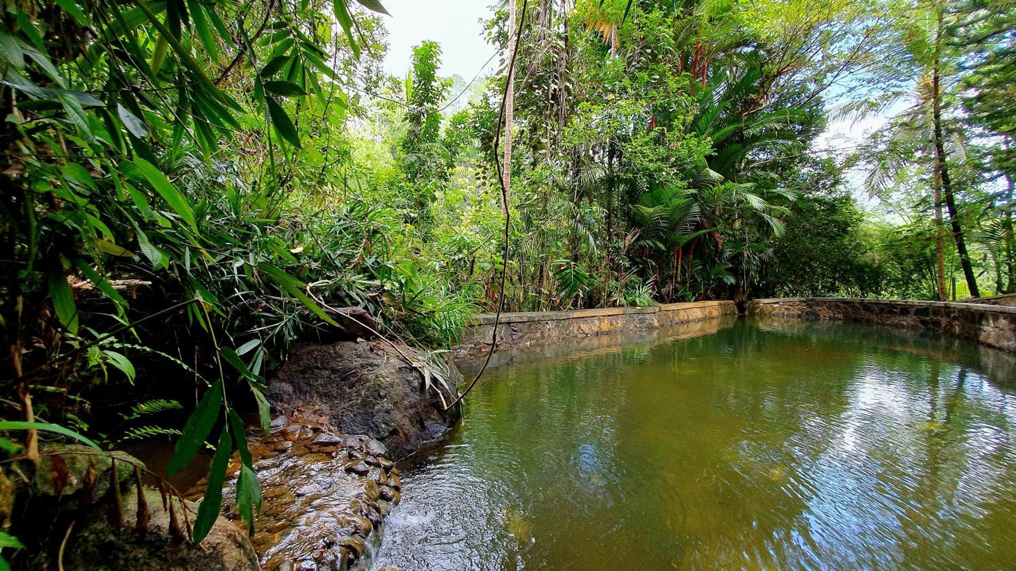 Singharaja Garden Agro Eco Lodge Pelawatta  客房 照片